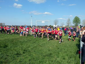 开云电竞-青少年体育社交平台互动行为研究，青少年体育文化